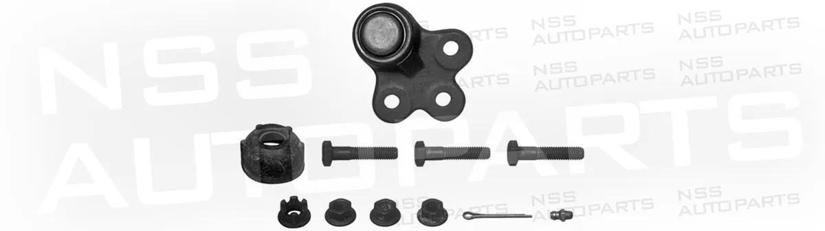 NSS1228982 ROTULE