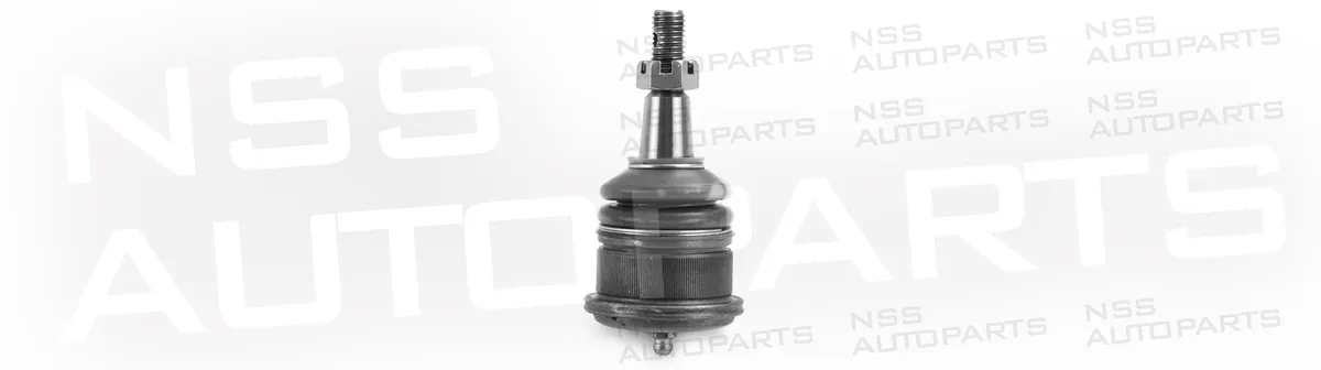NSS1229573 ROTULE