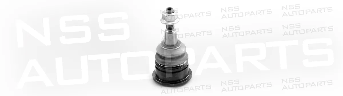 NSS1229605 RÓTULA