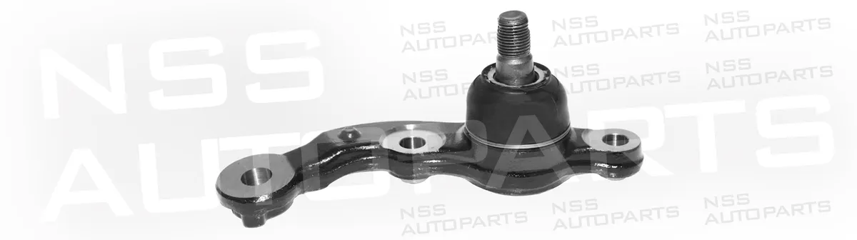 NSS1240243 RÓTULA DERECHA
