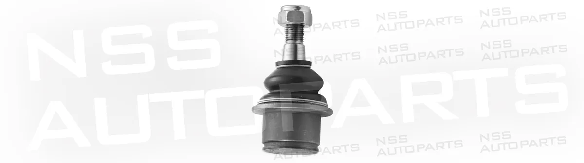NSS1231623 ROTULE