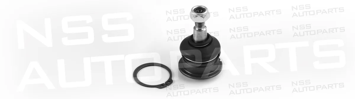 NSS1227843 ROTULE