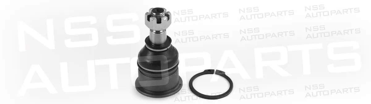 NSS1228693 ROTULE