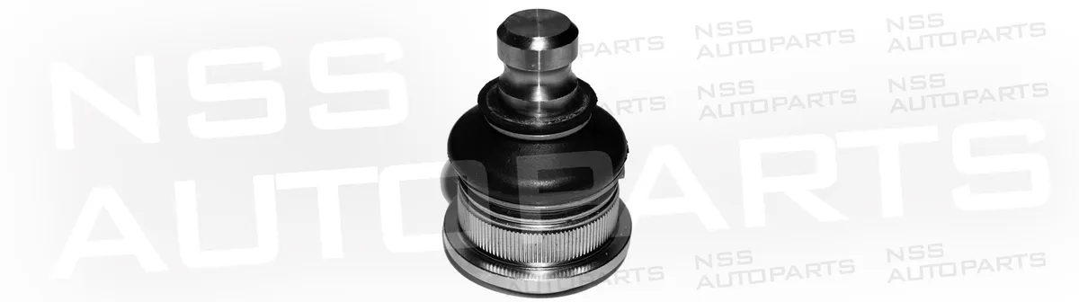NSS1227854 ROTULE