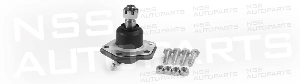 NSS1228670 RÓTULA