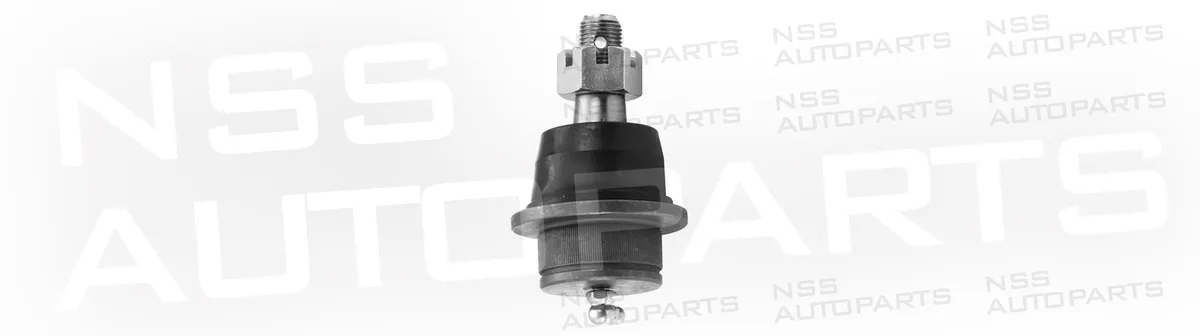 NSS1225577 ROTULE