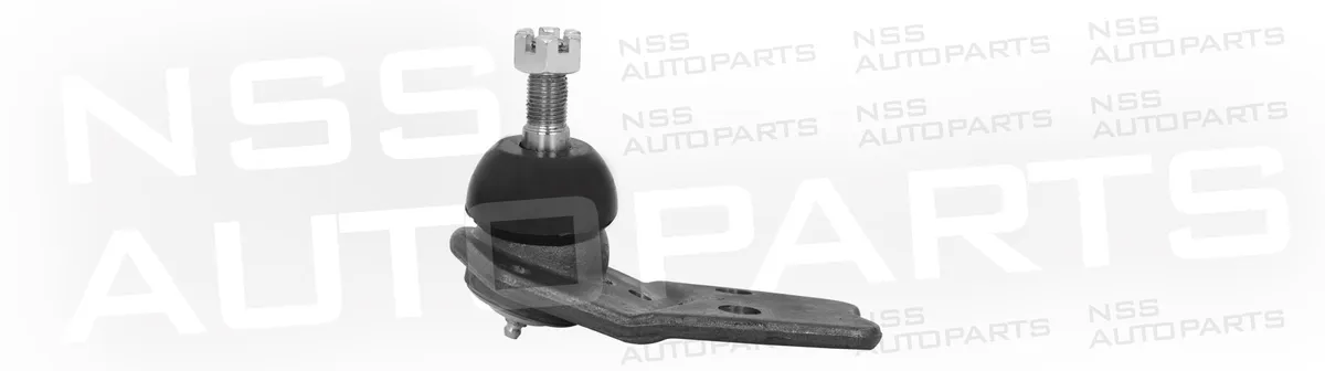 NSS1228456 ROTULE