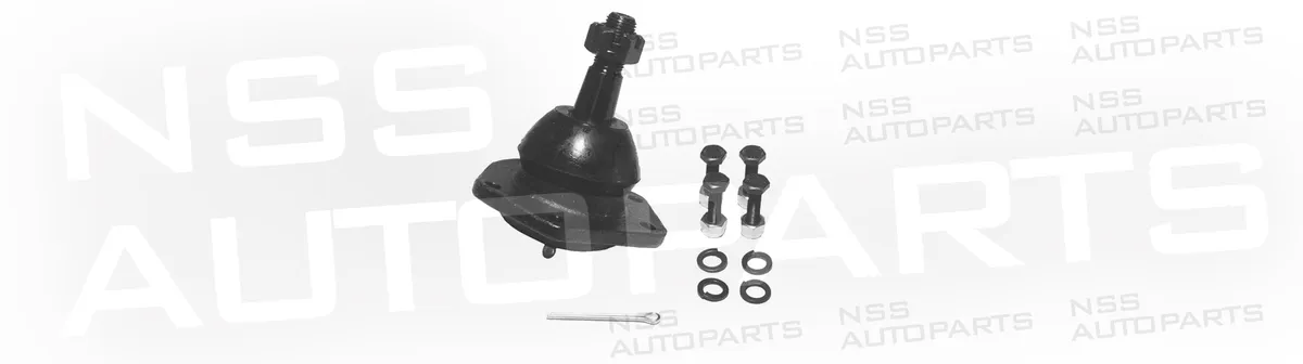 NSS1228545 ROTULE