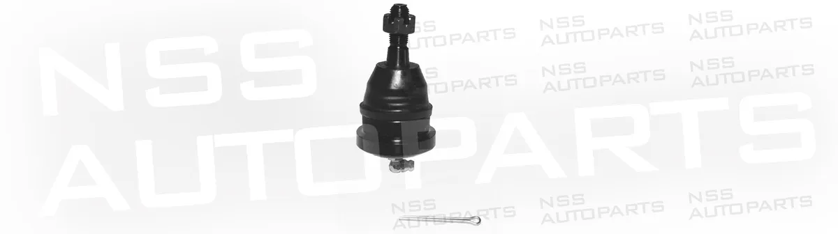 NSS1228666 RÓTULA