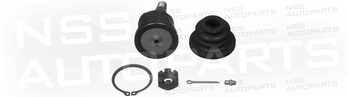 NSS1229367 ROTULE