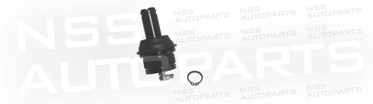 NSS1228681 ROTULE