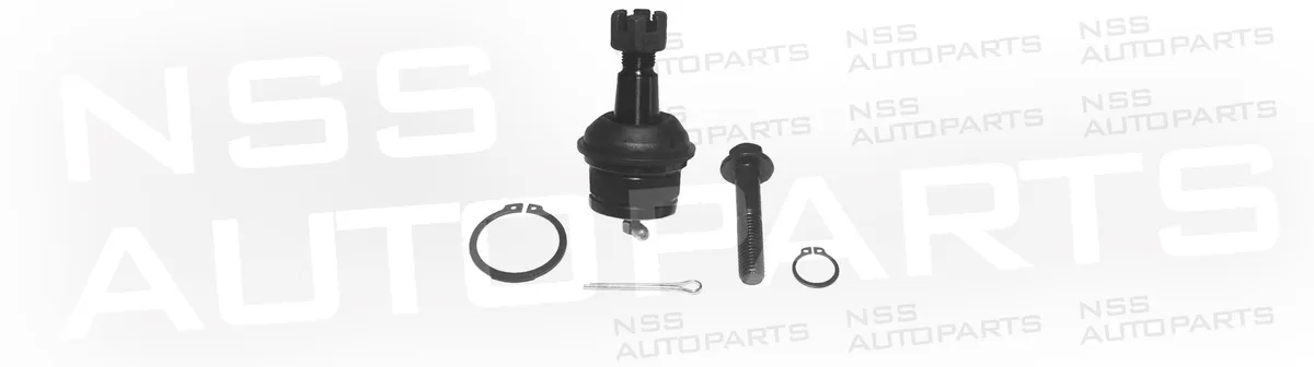 NSS1228689 ROTULE