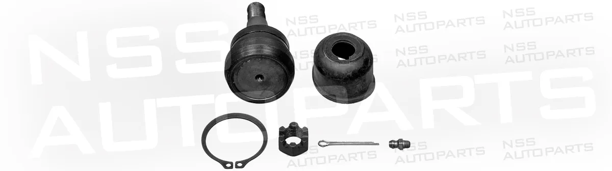 NSS1228652 RÓTULA