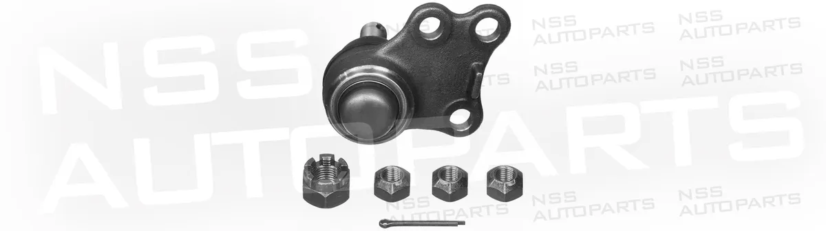 NSS1228662 RÓTULA
