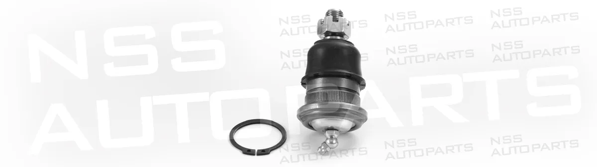NSS1229011 ROTULE