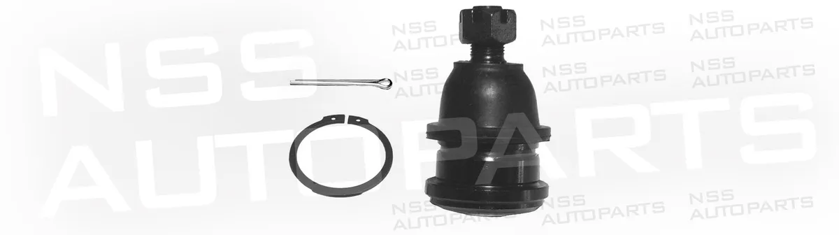 NSS1222545 RÓTULA