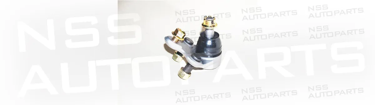 NSS1228523 RÓTULA