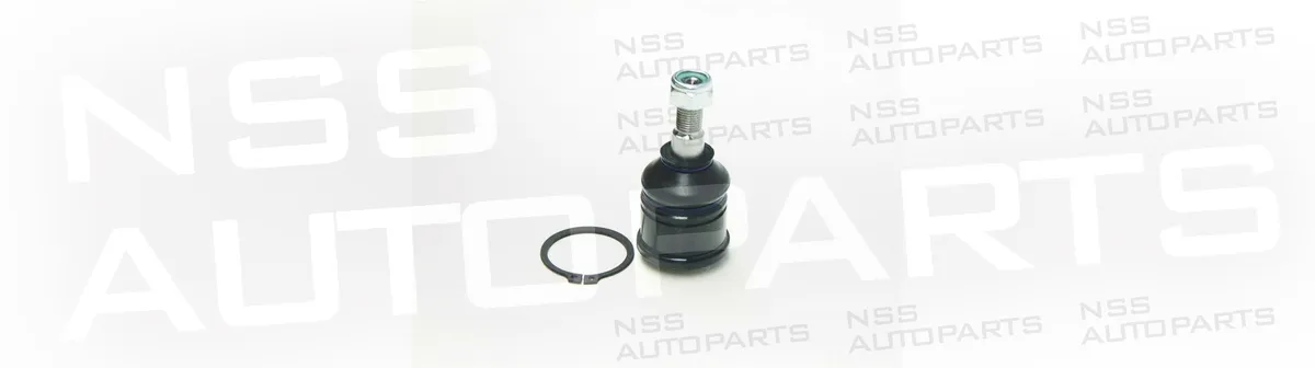 NSS1227847 ROTULE