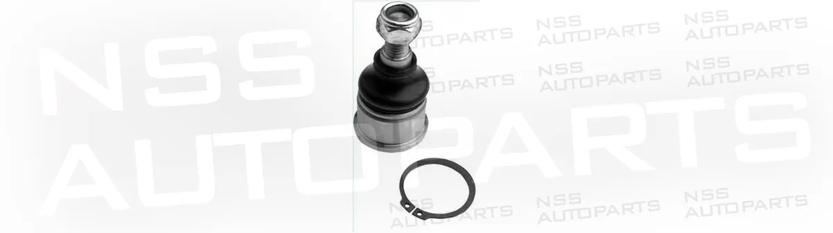 NSS1227830 ROTULE