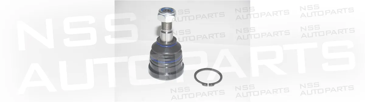 NSS1227836 RÓTULA