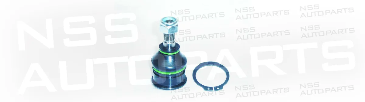 NSS1227841 RÓTULA