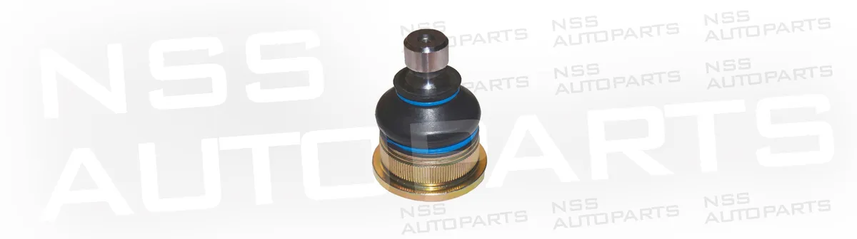 NSS1227853 RÓTULA
