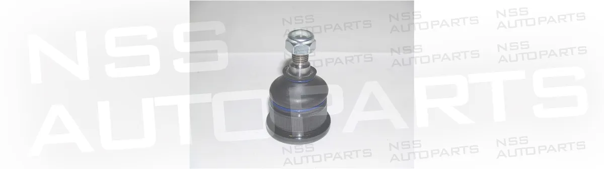 NSS1227823 RÓTULA